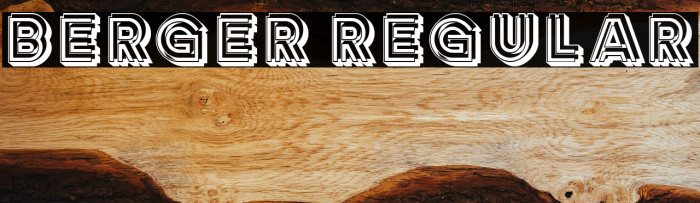 Berger Regular Example 3