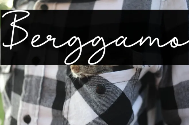 Berggamo Example 1