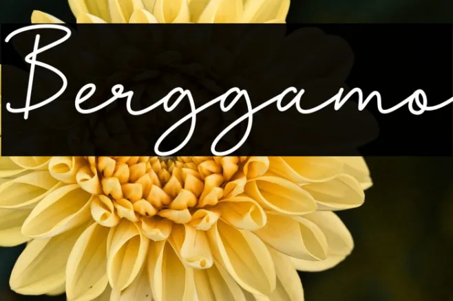 Berggamo Example 2