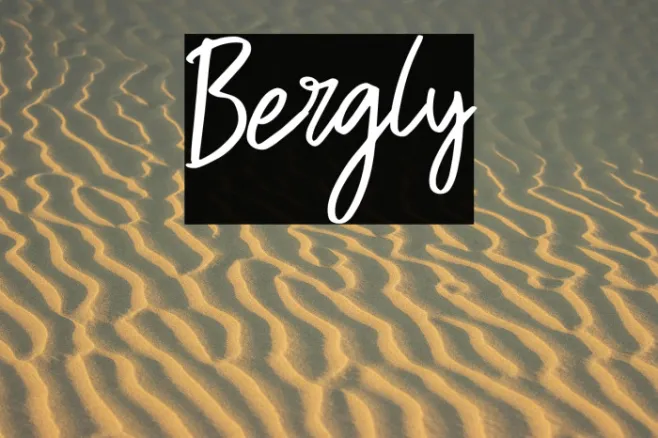 Bergly Example 1