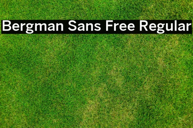 Bergman Sans Free Regular Example 3