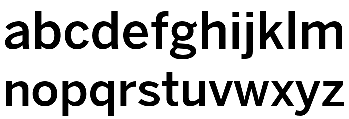 Bergman Sans Free Regular Font LOWERCASE