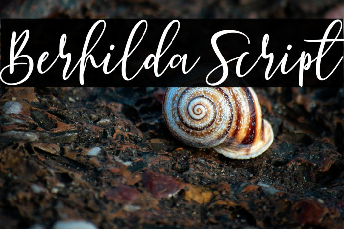 Berhilda Script Example 1