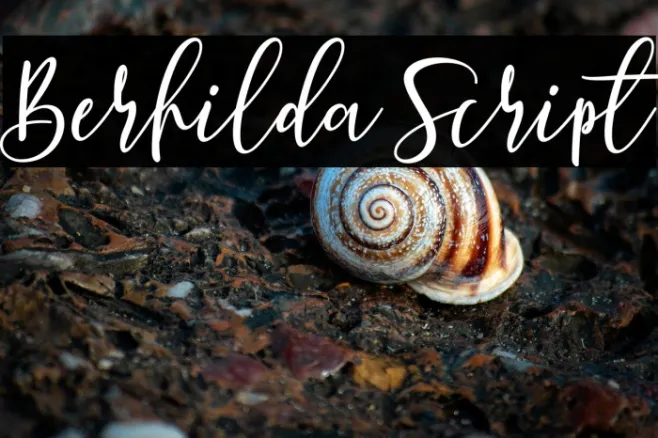 Berhilda Script Example 1