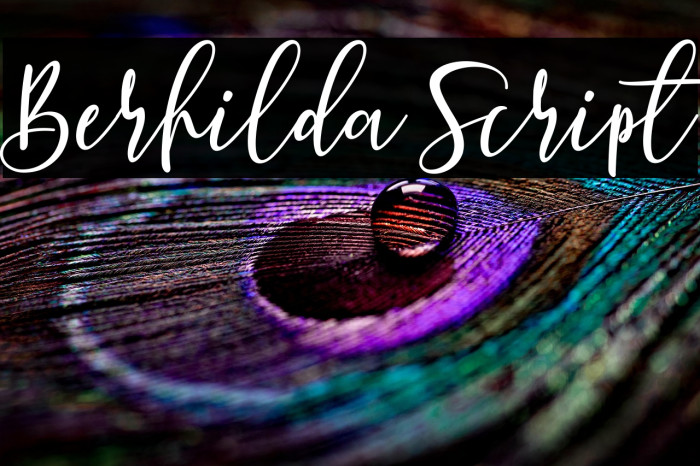 Berhilda Script Example 2