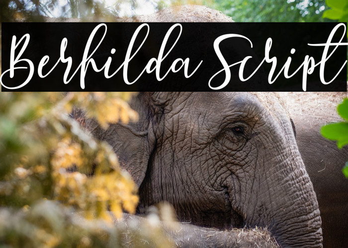 Berhilda Script Example 3