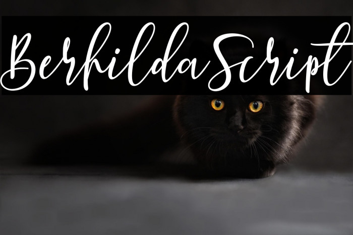 BerhildaScript Example 1