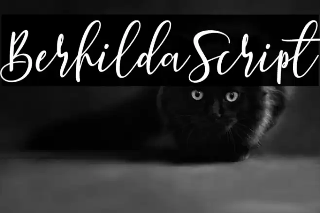 BerhildaScript Font examples