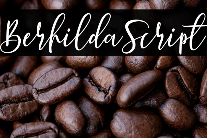 BerhildaScript Example 3