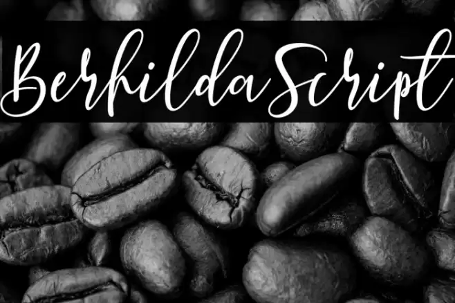 BerhildaScript Font examples