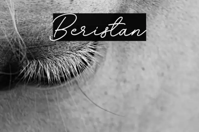 Beristan Font examples