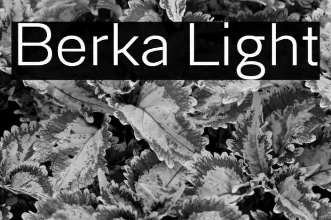 Berka Light Font examples