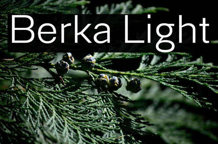 Berka Light Example 2