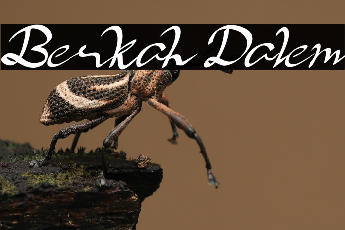 Berkah Dalem Example 2