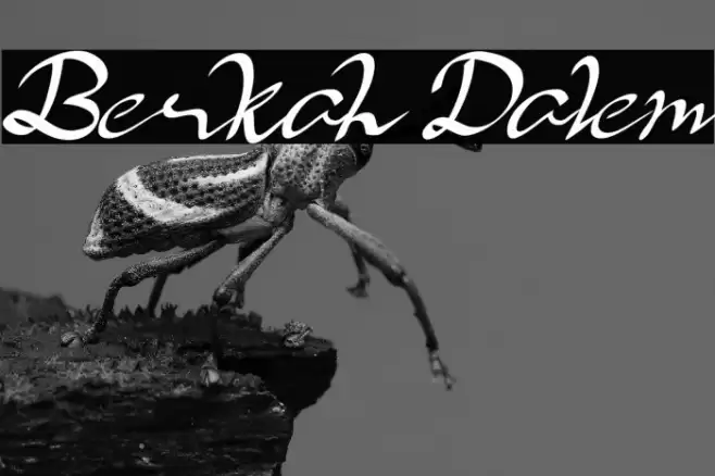 Berkah Dalem Font examples