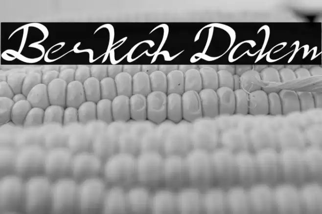 Berkah Dalem Font examples