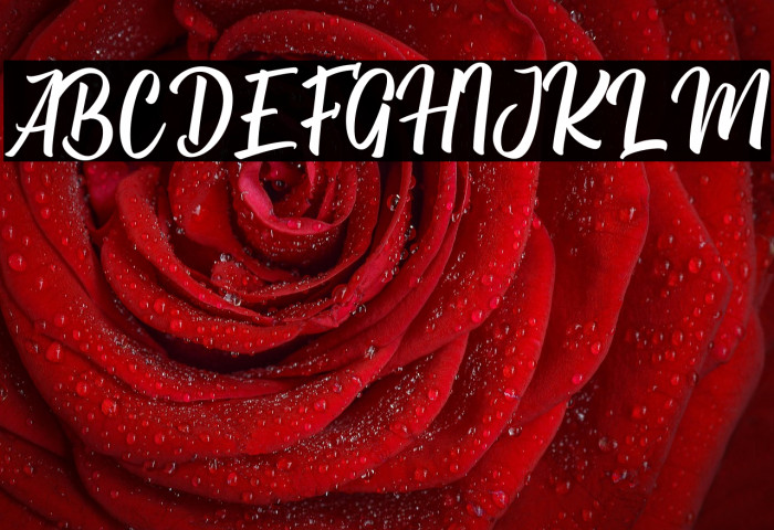 Berkah Ramadhan Example 3