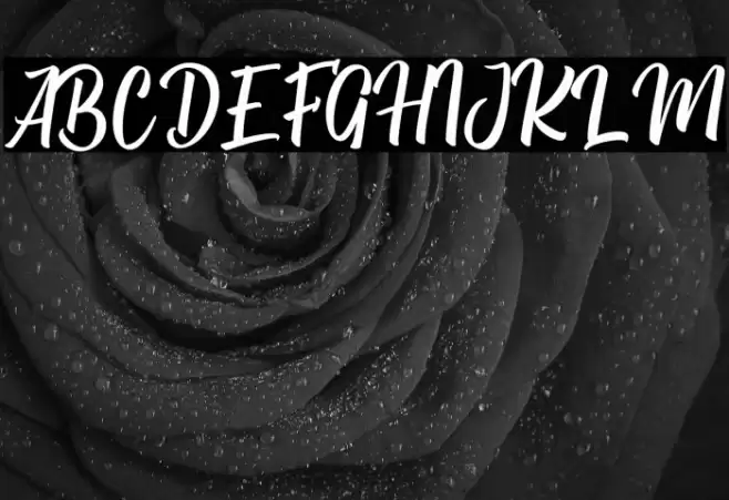 Berkah Ramadhan Font examples