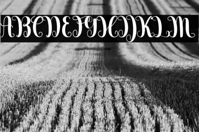 Berkarya Font examples