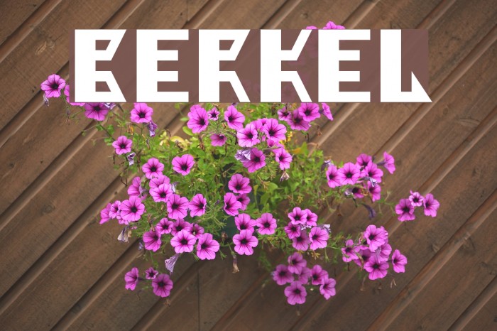 Berkel Font examples