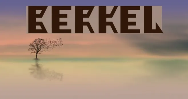 Berkel Example 3