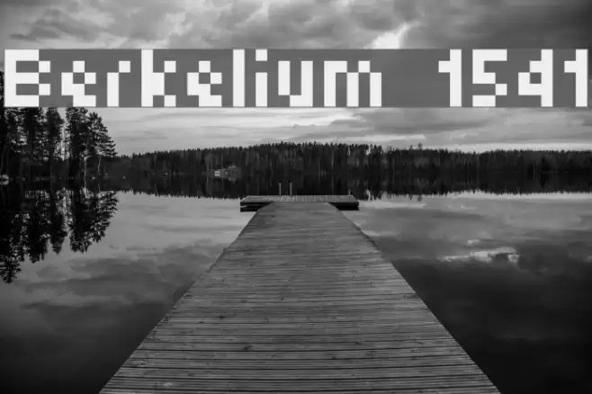 Berkelium 1541 Font examples