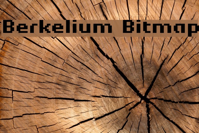 Berkelium Bitmap Font examples