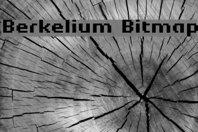 Berkelium Bitmap Шрифта examples