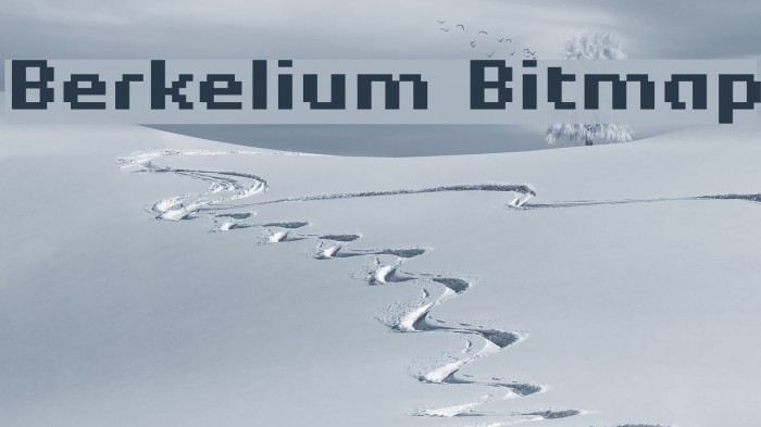 Berkelium Bitmap Font examples