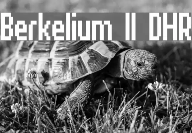 Berkelium II DHR Font examples