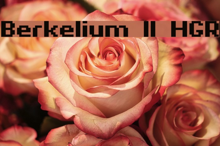 Berkelium II HGR Font examples