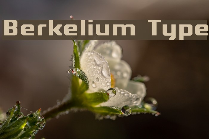 Berkelium Type Font examples