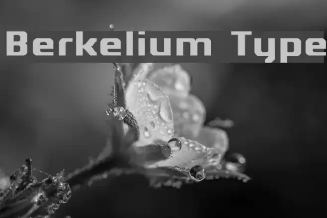 Berkelium Type Schriftart examples