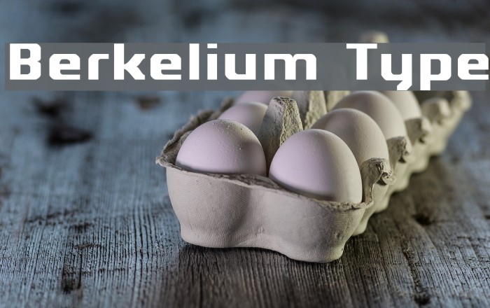 Berkelium Type Font examples