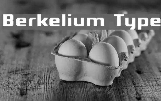 Berkelium Type Schriftart examples