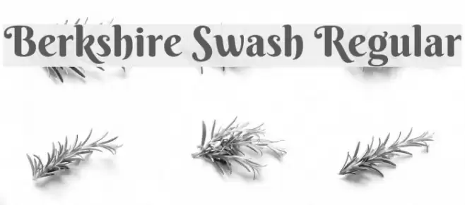 Berkshire Swash Regular Font examples