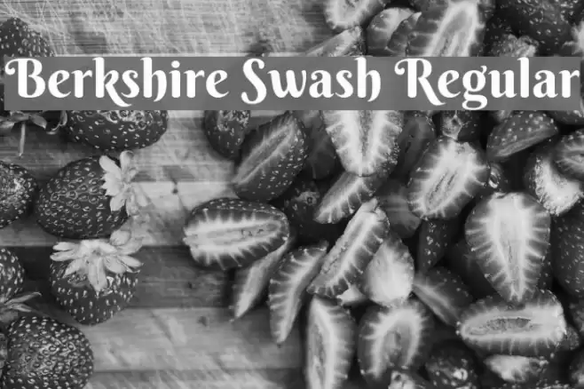 Berkshire Swash Regular Font examples