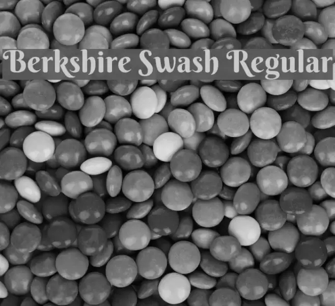 Berkshire Swash Regular Font examples