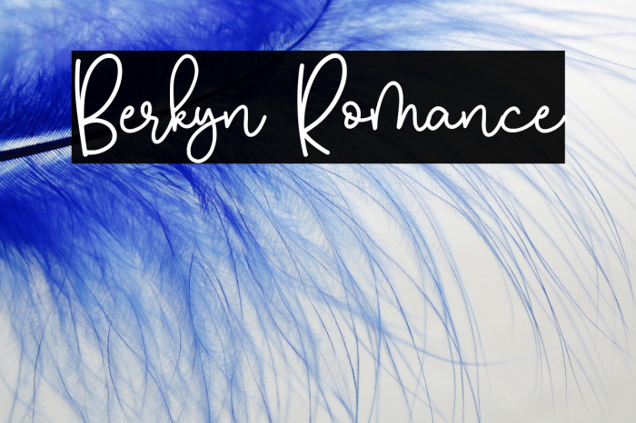 Berkyn Romance Example 1