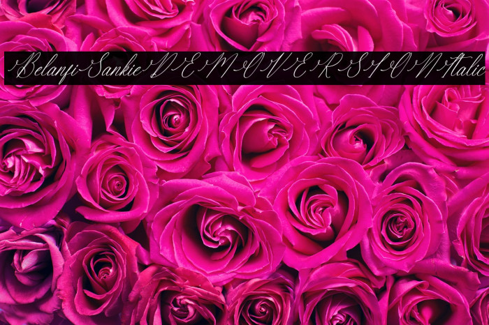 Berlanfi Sankisse DEMO VERSION Italic Example 3