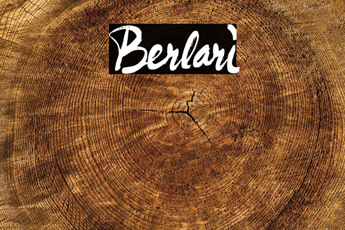 Berlari Example 2