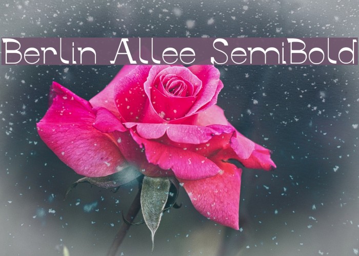 Berlin Allee SemiBold Example 3