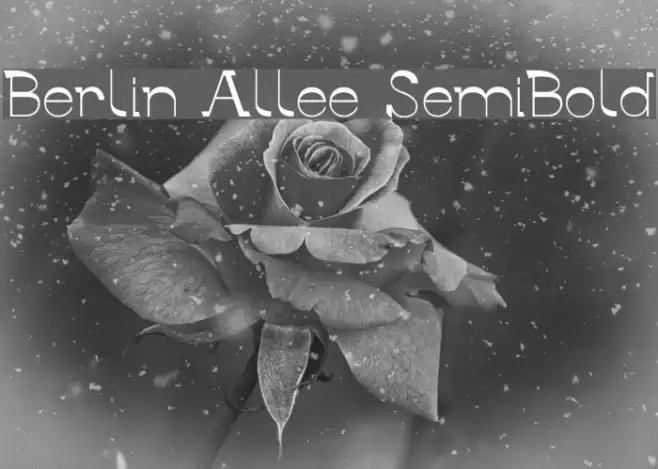 Berlin Allee SemiBold Font examples