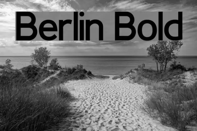 Berlin Bold Font examples