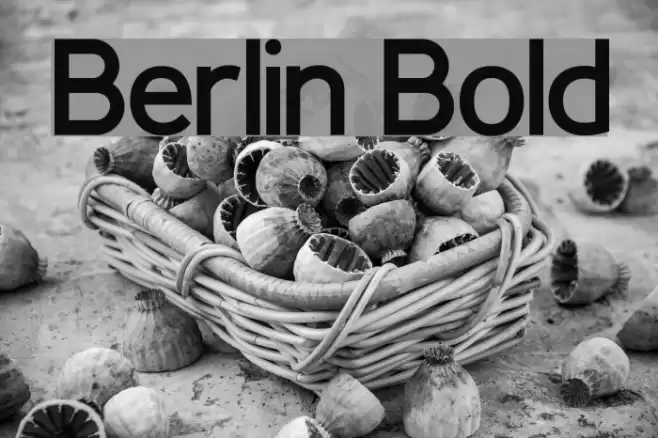 Berlin Bold Font examples