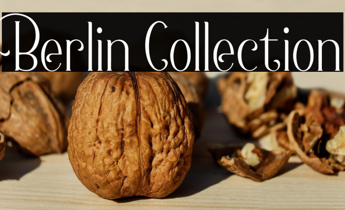 Berlin Collection Example 1