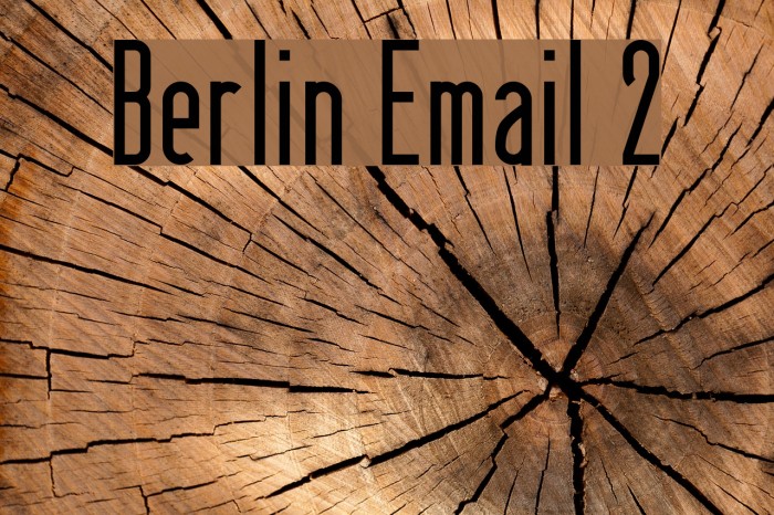 Berlin Email 2 Font examples