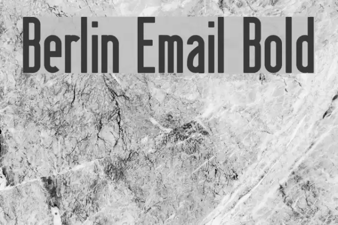 Berlin Email Bold フォント examples