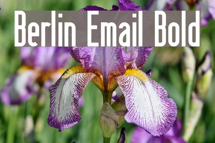 Berlin Email Bold Шрифта examples