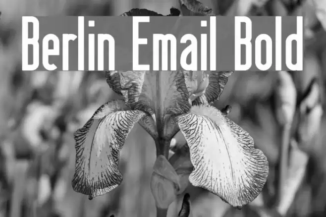 Berlin Email Bold フォント examples
